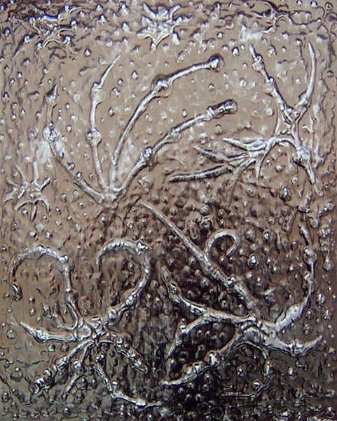 Fossil Emerge II