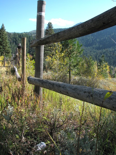 A long the fence