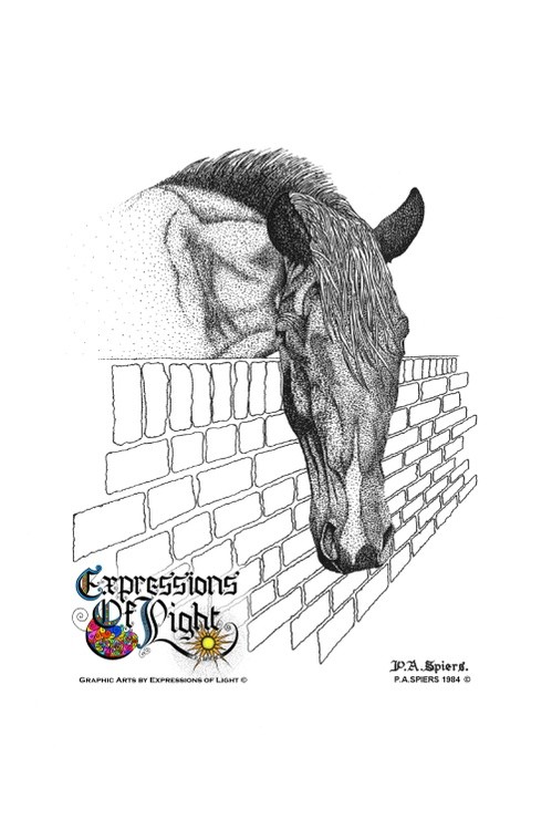 ExpoLight-Graphic-Arts-Horse-Over-The-Wall-1984-0001 (Pen-&-Ink-Mono-SP)