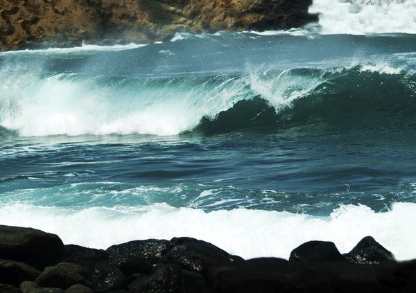 Wind & Waves