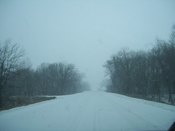 snowfallen