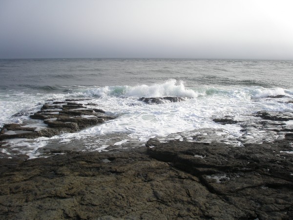 Waves 6