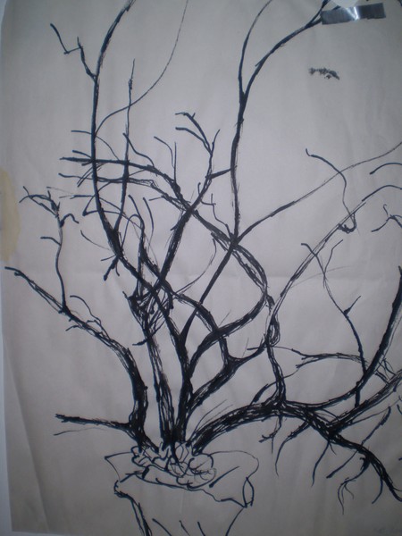 living branches
