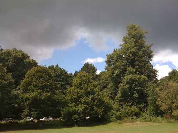 Storm Brewing