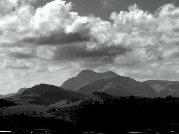 Nature B/W!
