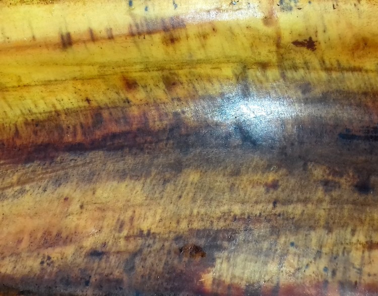 Bark  Natural Abstract