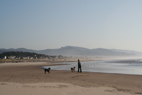 Coast City
