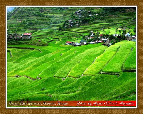 Batad Rice Terraces