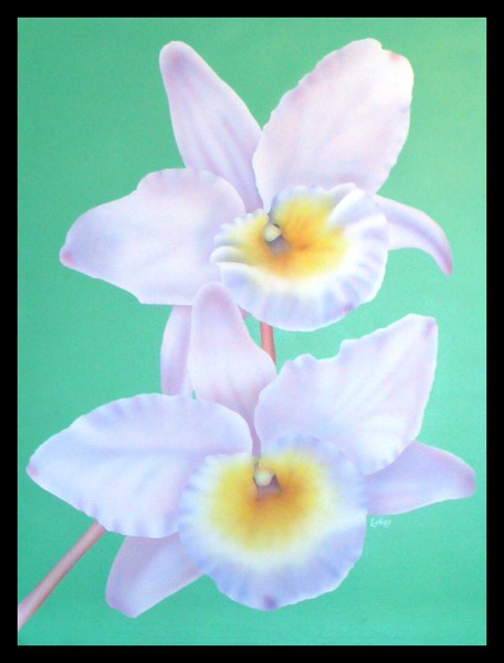 Orchid 2