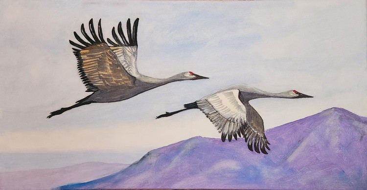 Sandhill Cranes in Flight
