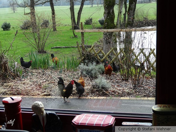 kitchen view