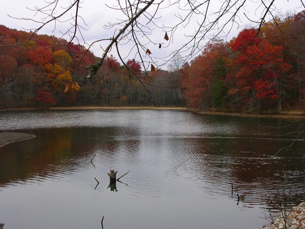 Fall Colors at the Coke Ovens park