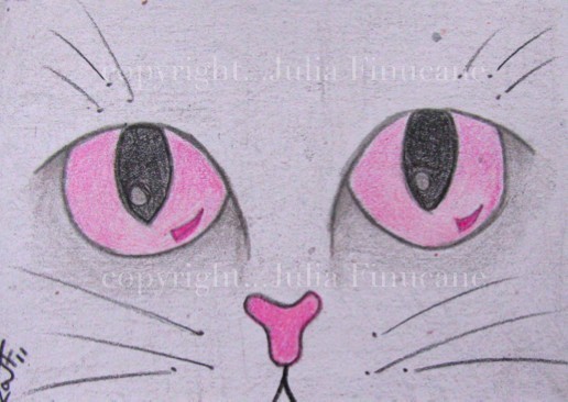 pink cat eyes