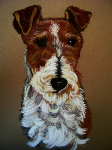 FOX TERRIER ,DOG SERIES