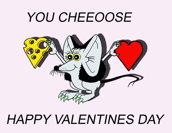 you cheeoose