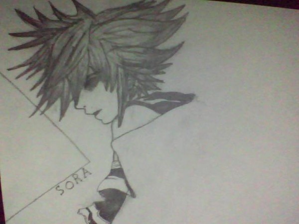 Sora