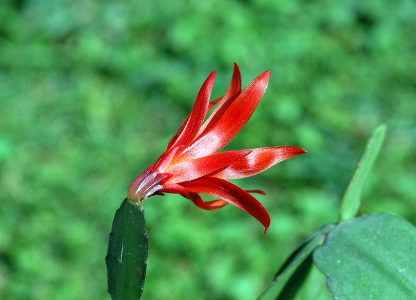 Nikon_05242009_3387