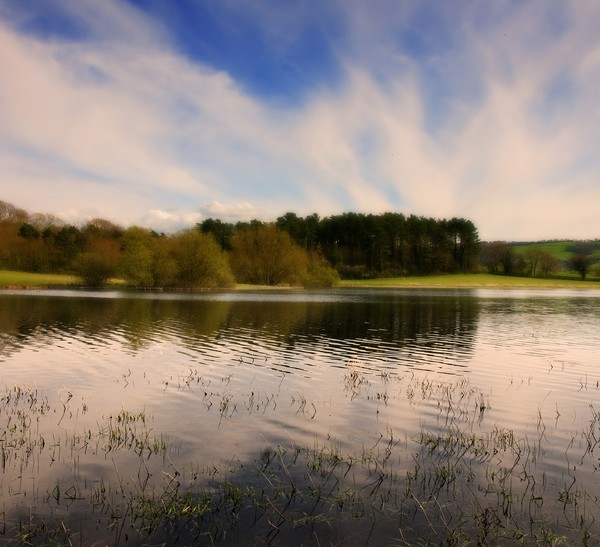 Blagdon Lake