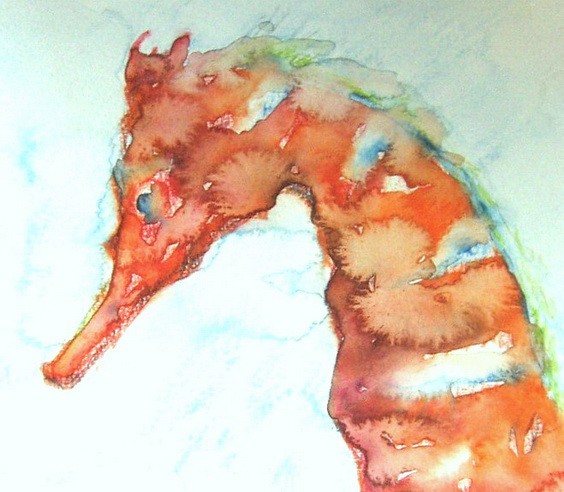 fish-WATERCOLORS,12