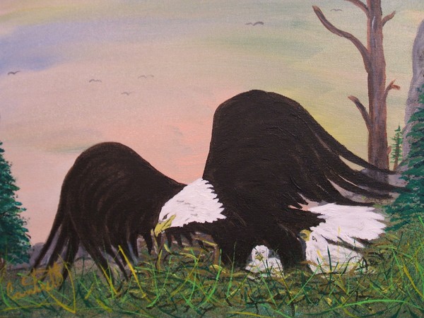 eagale babies