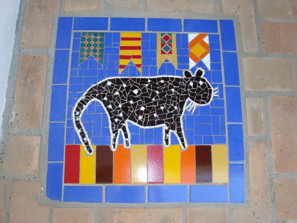 Onça pintada