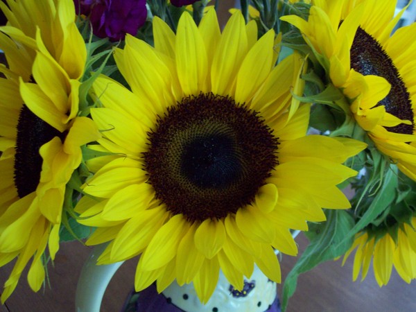Sunshine