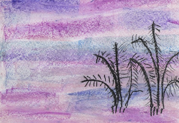 pastels by connor aged 6