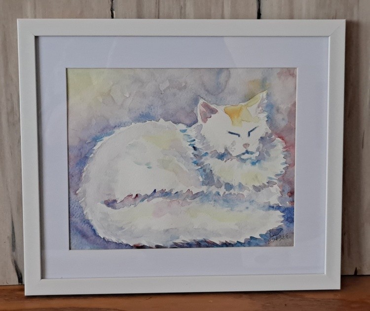 white fluffy cat framed