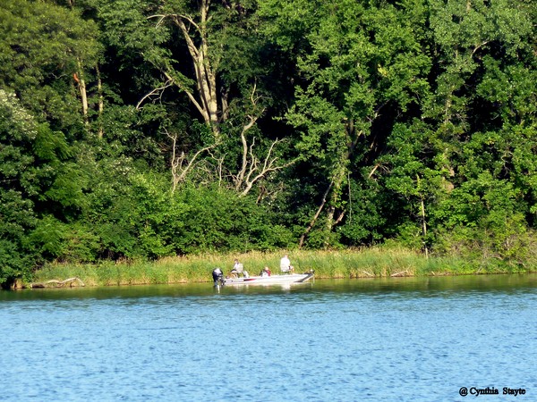 A Day Fishing