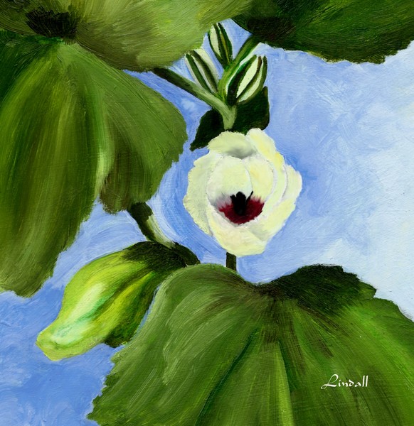Okra blossom