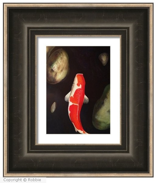 Koi 22`