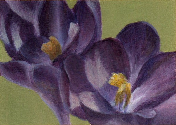 Early Spring Morning