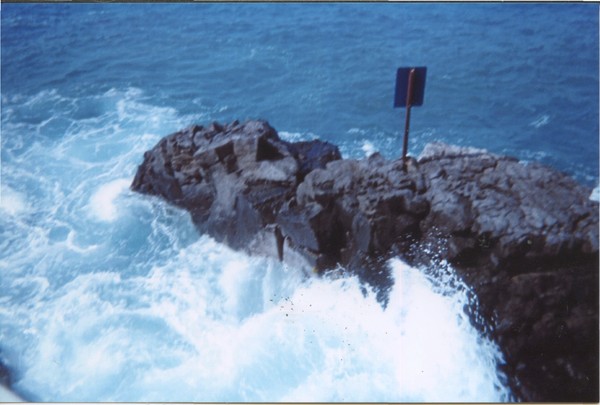 tropicalwave