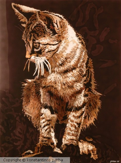 MALE CAT