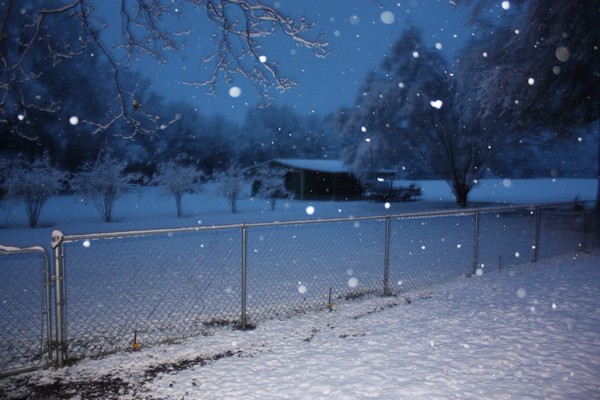 Louisiana? Are you sure?