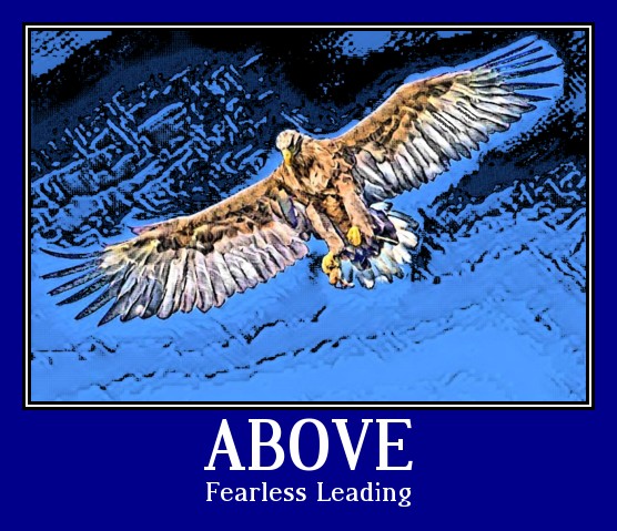 Above the Crowd