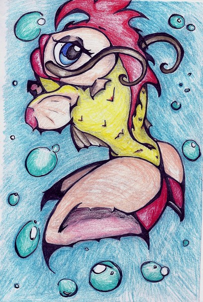 Coy Koi