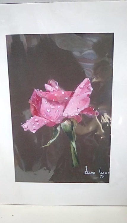 A Rose.