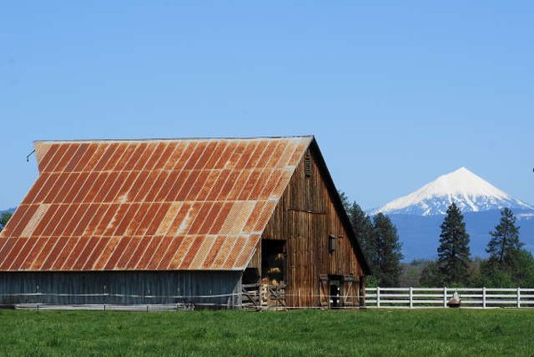 Old Barn 2