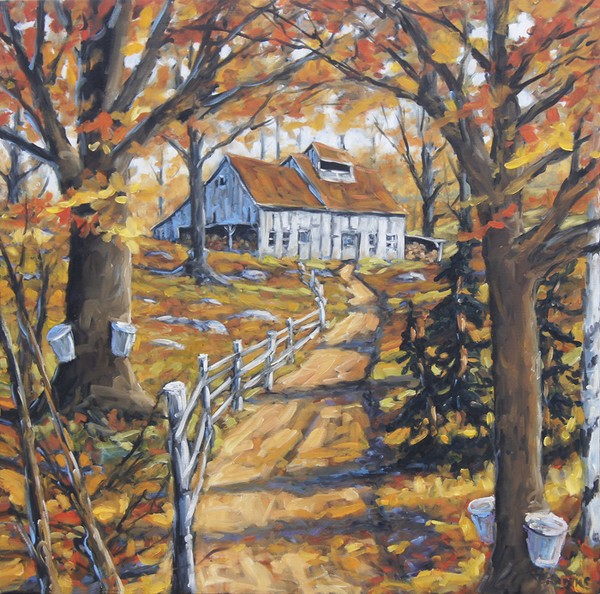 Maple Sugar Bush  Road by Prankearts