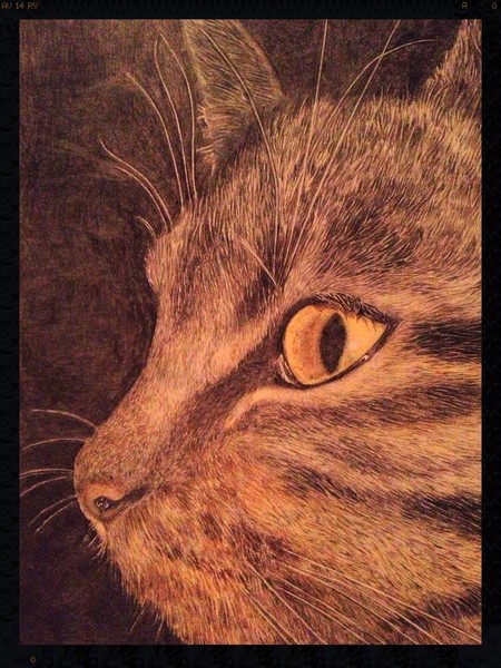 Shiva Close-up