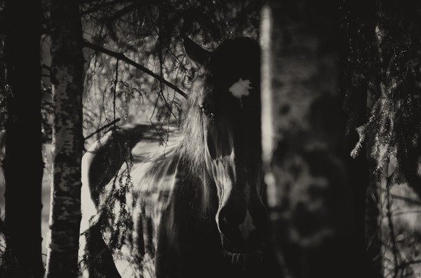 K5 S2369 Edit