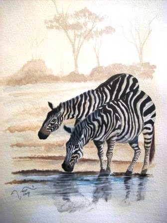 Zebra at waterhole