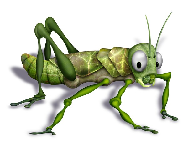 Grasshopper