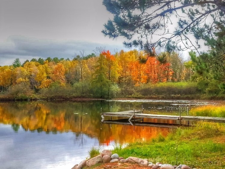 Autumn Relaxation