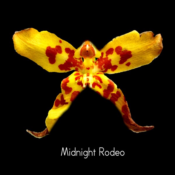 Midnight Rodeo