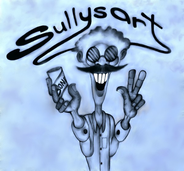 sully shirt 2