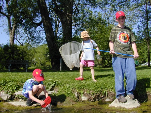 Pollywog Hunters