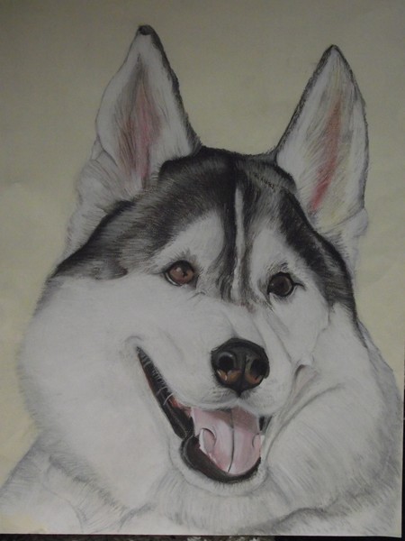 Husky