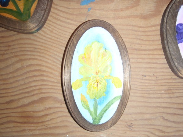 Iris Magnet